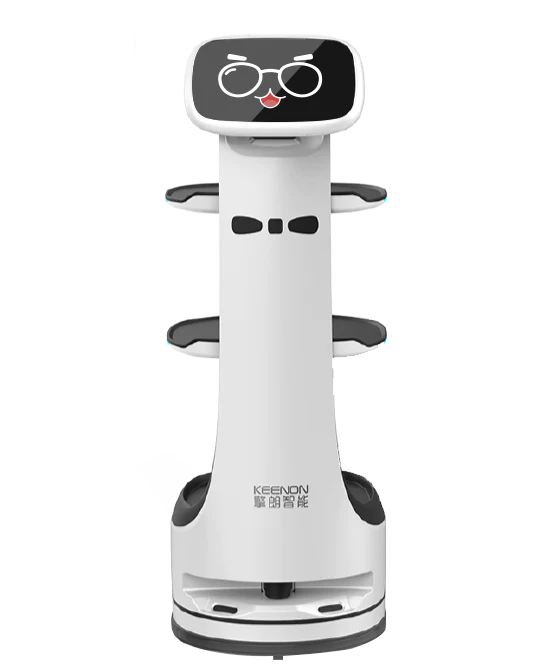 DinerBot T8